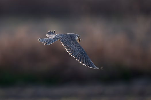  赛道激情澎湃；中国重汽高端重卡再续F1传奇。 汽车科技 赛道激情澎湃；中国重汽高端重卡再续F1传奇。 汽车科技