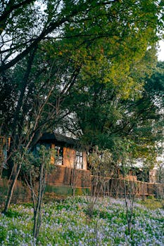  嵩山少林寺原住持释永信案进展；新乡检察院提起公诉，涉嫌四项罪名。 新闻