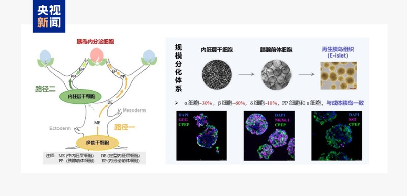  从深蓝到田野；矿藏能源齐发力，医疗前沿开新局。 IT技术 从深蓝到田野；矿藏能源齐发力，医疗前沿开新局。 IT技术