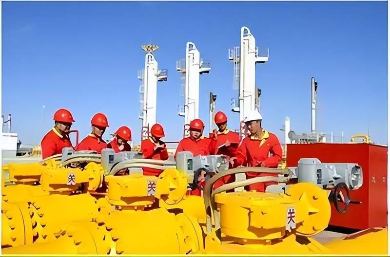  全球经济防御体系：一份关于系统韧性的深度复盘 IT技术