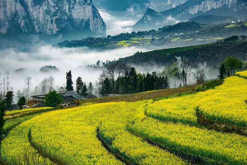 走得越远，离家越近：那场迟到二十年的归途 情感心理