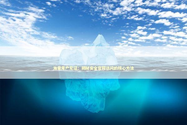 海量用户见证：揭秘安全官网访问的核心方法