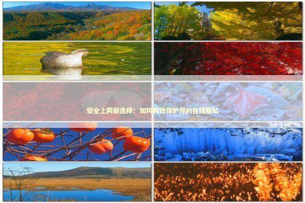 安全上网新选择：如何有效保护你的在线隐私