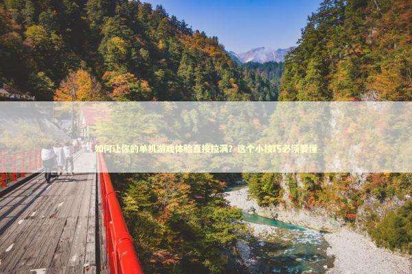 如何让你的单机游戏体验直接拉满？这个小技巧必须要懂