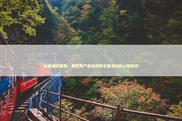 从犹豫到果断：探究用户在选择数字服务时的心理博弈 IT技术