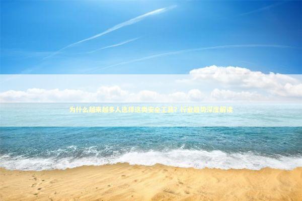 为什么越来越多人选择这类安全工具？行业趋势深度解读