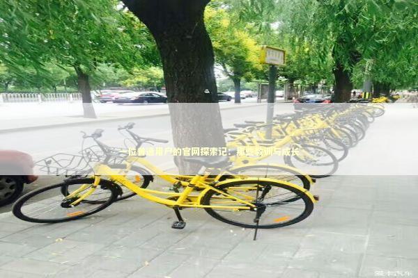 一位普通用户的官网探索记：那些教训与成长 IT技术